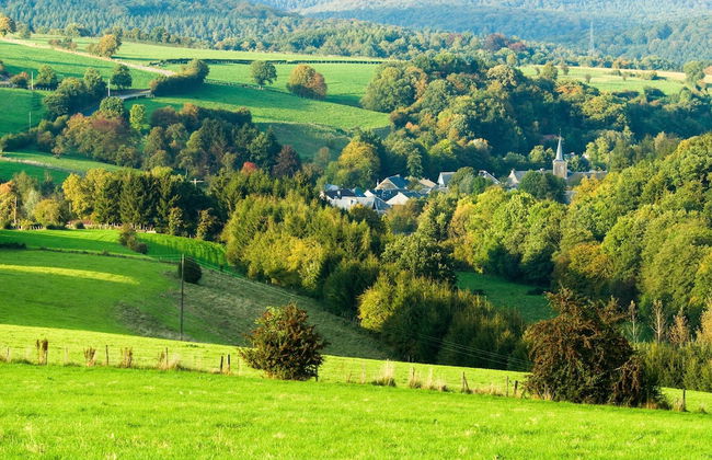 Architect's Gem in Stoumont - Photo 51