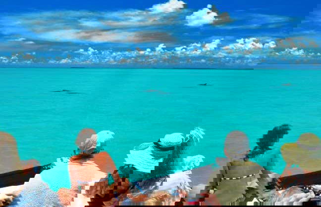 Avistamento de golfinhos em Key West - Foto 1