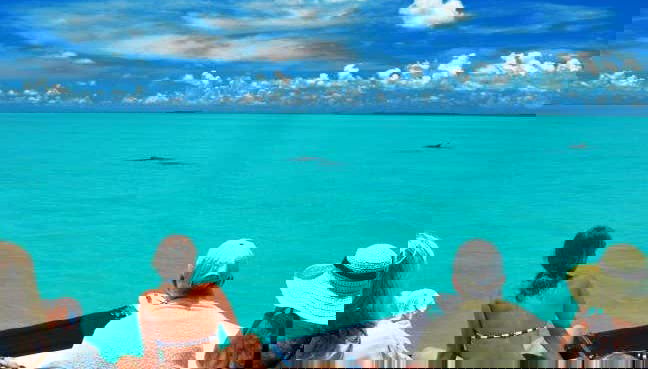 Having an unforgettable experience in Key West