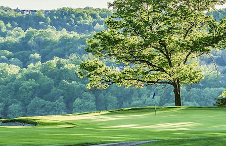 Lakeview Golf Resort Townhouses - Foto 8