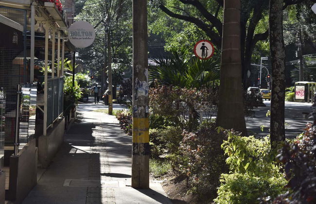 Free tour di Los Laureles - Foto 4