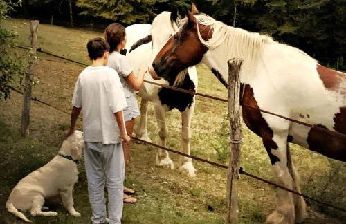 Mas dAmour - Foto 26