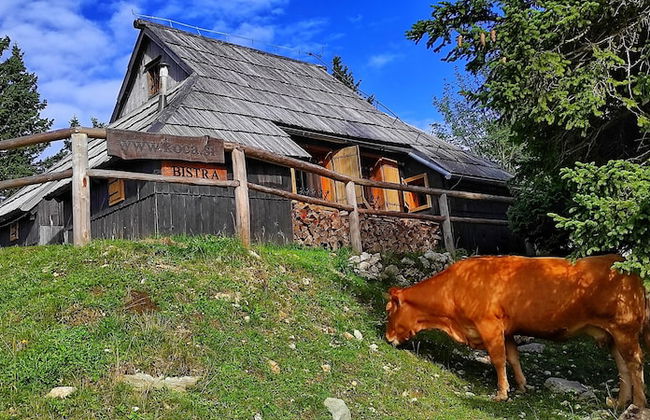 Koca Bistra - Velika planina - Foto 48