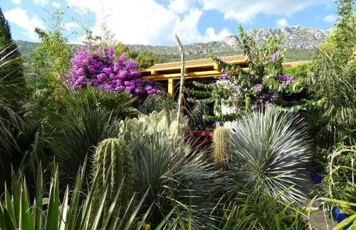 Villa Tropica, total privacy, tropical garden and private pool - Photo 42