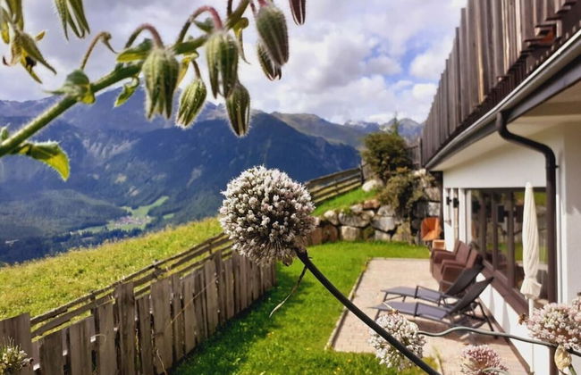 Talissa at Organic & Riding Stables of Veitenhof - Foto 17