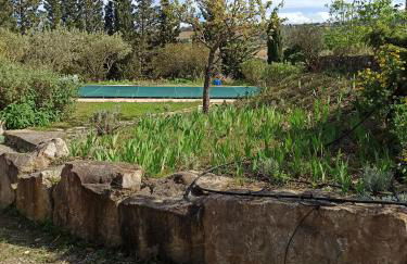 Le Rocher au Thym - Foto 4