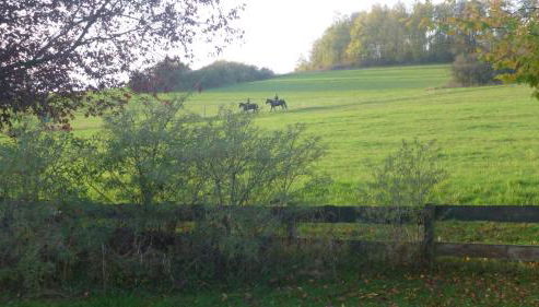 Natur pur mit Fernblick für Wanderfreunde - Foto 2
