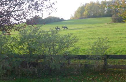 Natur pur mit Fernblick für Wanderfreunde - Foto 2