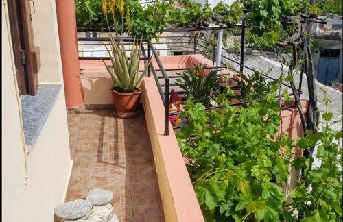 Traditional Residence with terrace - Foto 35
