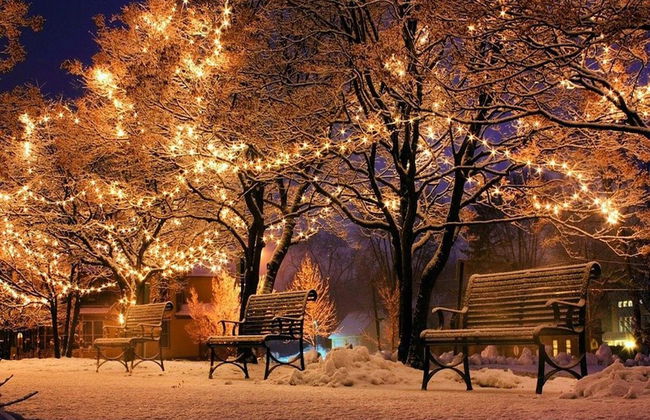 Nice Holiday Home With Dishwasher, in Schoorl - Photo 18