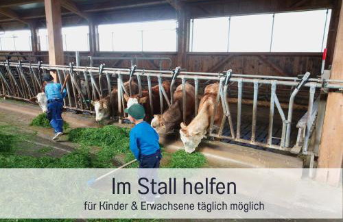 Bauernhof Finkel - Ferienwohnungen mit Balkon - Bergsicht - Traktor mitfahren - Tiere streicheln - entspannter Familienurlaub - zentrale Lage nahe Oberstdorf - Foto 67