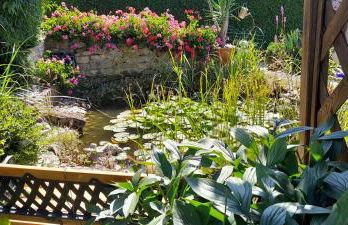 Haus Roßner - Foto 43