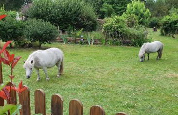 La chambre du Gaille - Foto 19
