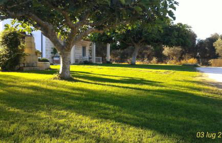 Masseria Vignenove - Foto 8