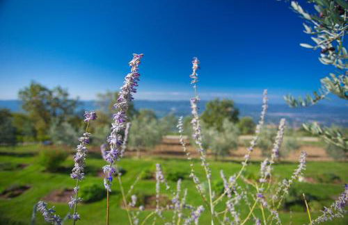 Odina Agriturismo - Foto 7