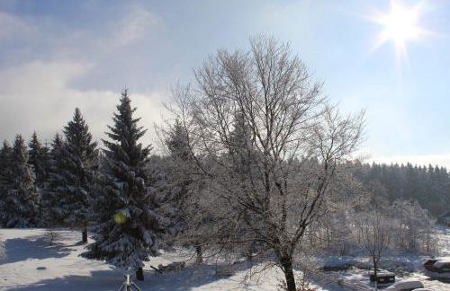 App mit Klima, Pool, Garage für Auto, Bike, Skier, AktivCARD optional - Foto 29