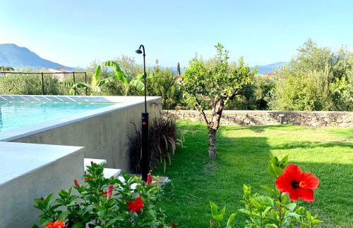 The Backyard - Foto 23