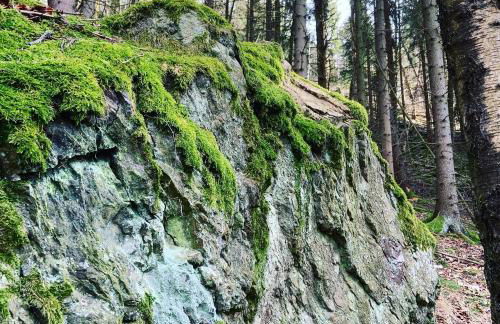 Ferienwohnung Frankenwald - Foto 17