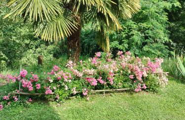 Casa relax immersa nel verde della natura - Foto 7