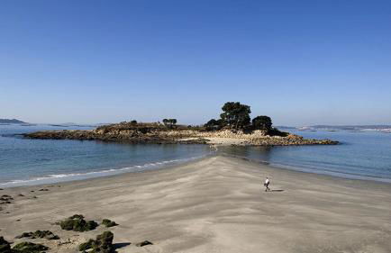 Estudio Camelia - Foto 27