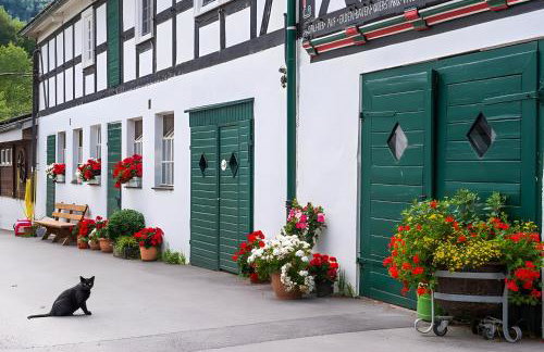 Bio Ferienbauernhof Voß - Foto 68