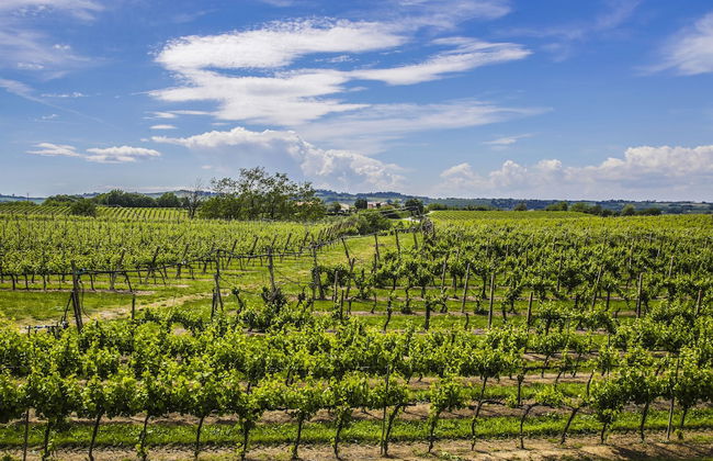 Trere Agriturismo - Photo 1