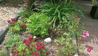 Joli Appartement Audenge - Foto 4