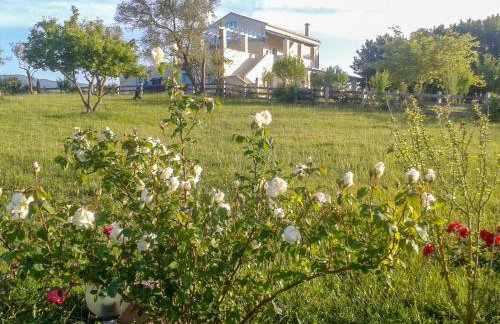 Aroggia Farm - Foto 11