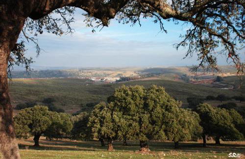 Apartamento Turístico La Ribera - Foto 49