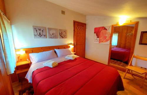 repaci 17 home - Foto 2