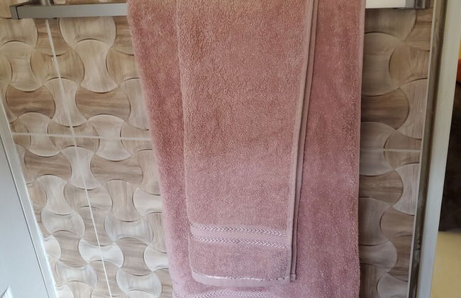 Rochester Modern Chic Apartment - Photo 27