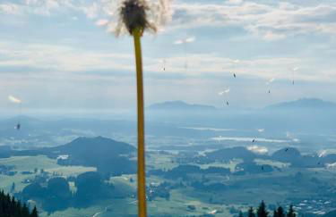 Ferienhaus Sommer - Foto 8