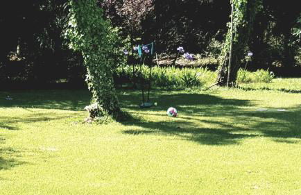 Casa da Mata - Foto 32