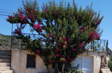 Sardinia Family Villas - Villa Carmen with sea view and pool - Foto 34