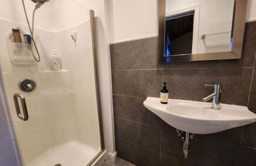 On Site Parking King Master Suite UCSD Walk - Foto 7