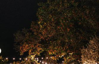 Quinta da Quintã AL - Foto 40