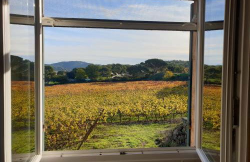 Domaine de la Navicelle - Foto 47