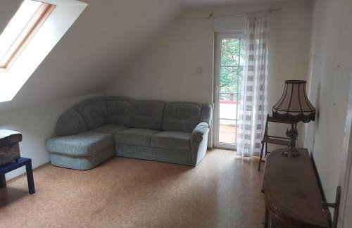 Tuczno Dom w lesie - Foto 37