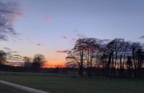 Cosy Owl - Shepherds Hut - Foto 34