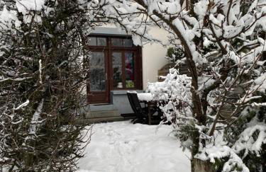 Mer de Glace - Foto 23