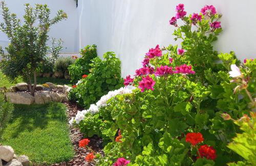 Páteo dos Oliveira - Casa dos Senhores - Foto 15