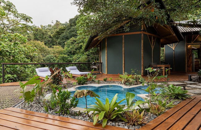 El Tigre Hideaway - Photo 35