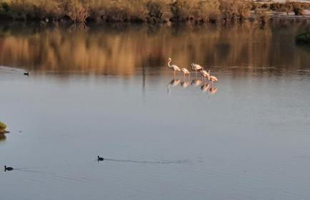 Very Very Vera Beach - Freshly Renovated - Foto 44