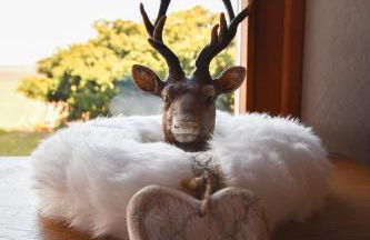 Jagdhaus Maja - Foto 16