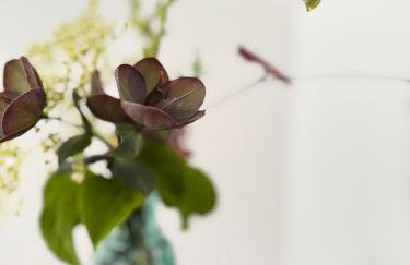 Sissinghurst Stables A comfortable country home in the Garden of England and just one hour from London - Foto 39