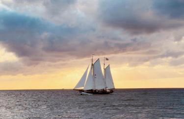 Kleine Krabbe - Foto 25