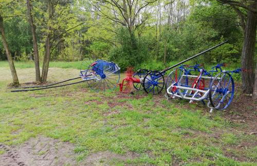 Maciejówka Gospodarstwo Agroturystyczne - Foto 45