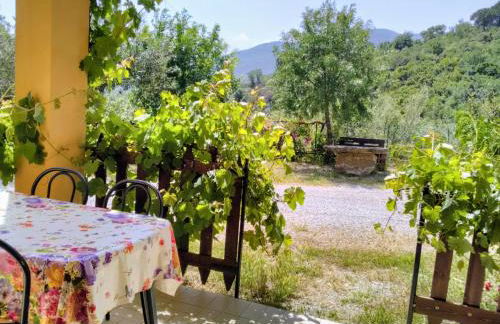 Villaggio dei Balocchi - Foto 27