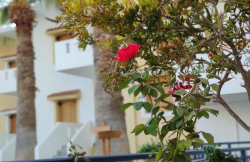 Angelika Apartotel - Foto 7