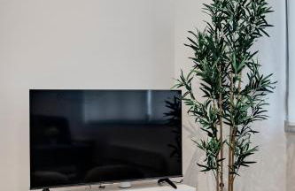 San vicente - Foto 11